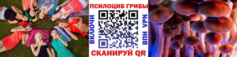 Псилоцибиновые грибы Magic Shrooms купить Лихославль
